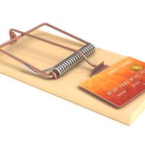 photo of credit card as bait in a mouse trap